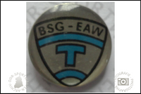 BSG EAW Treptow Pin