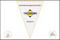 BSG Trusioma Schwerin Wimpel Variante