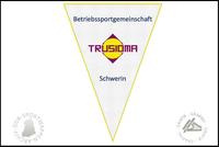 BSG Trusioma Schwerin Wimpel