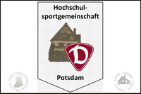 HSG Dynamo Potsdam Wimpel alt