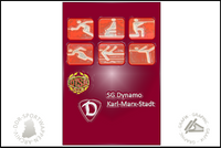 SG Dynamo Karl-Marx-Stadt Sonstiges Sektionen