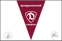 SG Dynamo Ludwigslust Wimpel