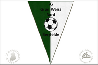 SG Gr&uuml;n Weiss Bergfelde Nord Wimpel Sektion Fussball